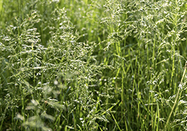 AdobeStock_186409465