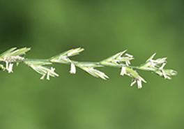01_AdobeStock_227999147