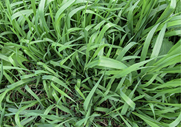 AdobeStock_181808383