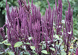 01_AdobeStock_245964364