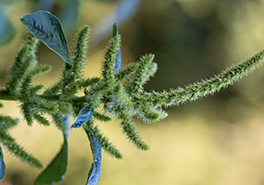 AdobeStock_118300219