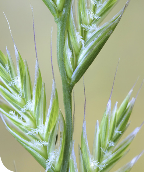 AdobeStock_237383268