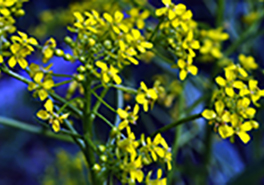 AdobeStock_205854079