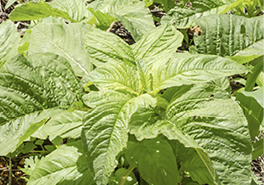 01_AdobeStock_248409758