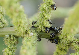 AdobeStock_285570594