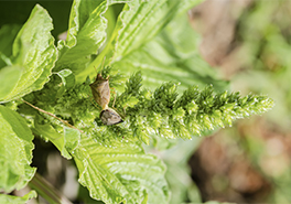 AdobeStock_292459357