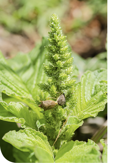 AdobeStock_292459357