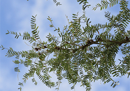 AdobeStock_243401570_-_Copy