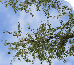 AdobeStock_243401570_-_Copy