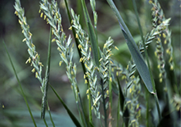 01_AdobeStock_251418277