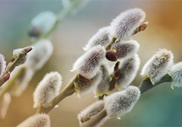 01_AdobeStock_190514384