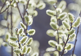 AdobeStock_242350128