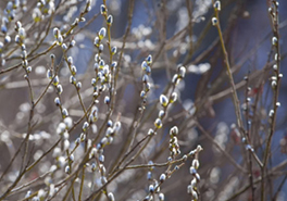 AdobeStock_262341231