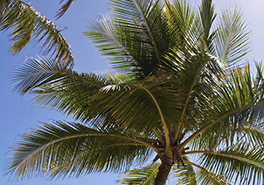 01_AdobeStock_208202460