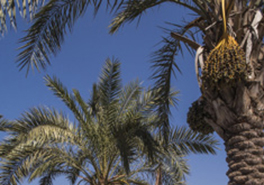 AdobeStock_191793725