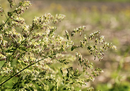 01_AdobeStock_196025115