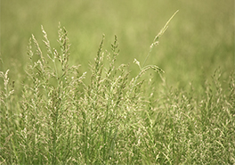 AdobeStock_297210223