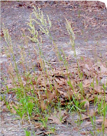 01_Image_009