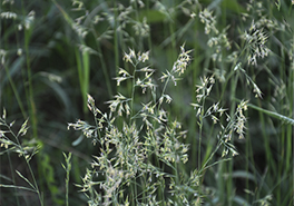 AdobeStock_232385211