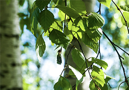 AdobeStock_158305932_(2)_-_Copy