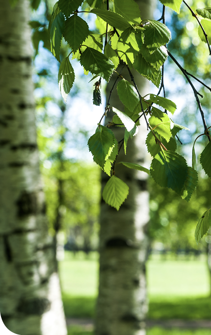 AdobeStock_158305932_(2)_-_Copy