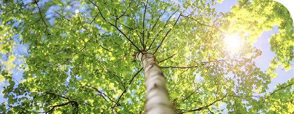 AdobeStock_254670527_(2)