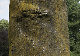 AdobeStock_214464945
